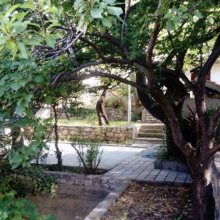Apartman "Tartaruga" Lukovo Exterior foto